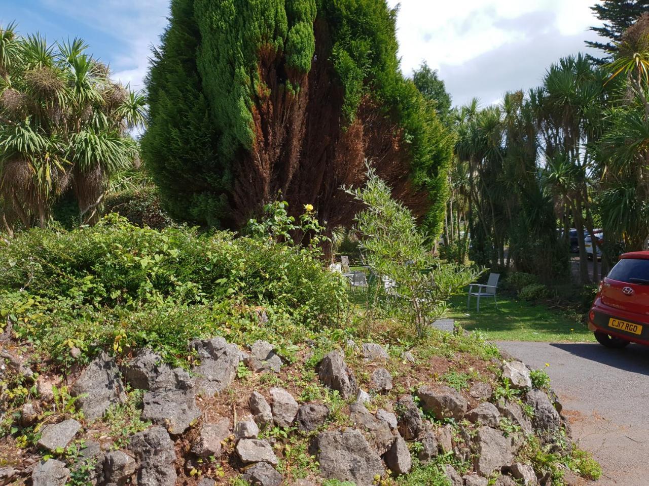 Sherwood Palm Hotel Torquay Zewnętrze zdjęcie